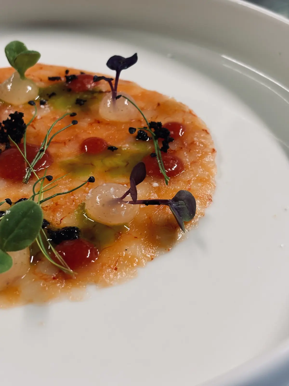 Carpaccio di gambero rosso con pomodorini e germogli