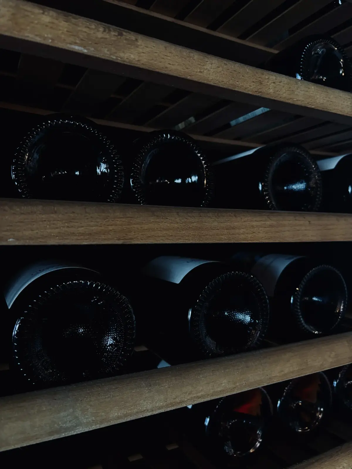 Bottiglie di vino conservate in cantina
